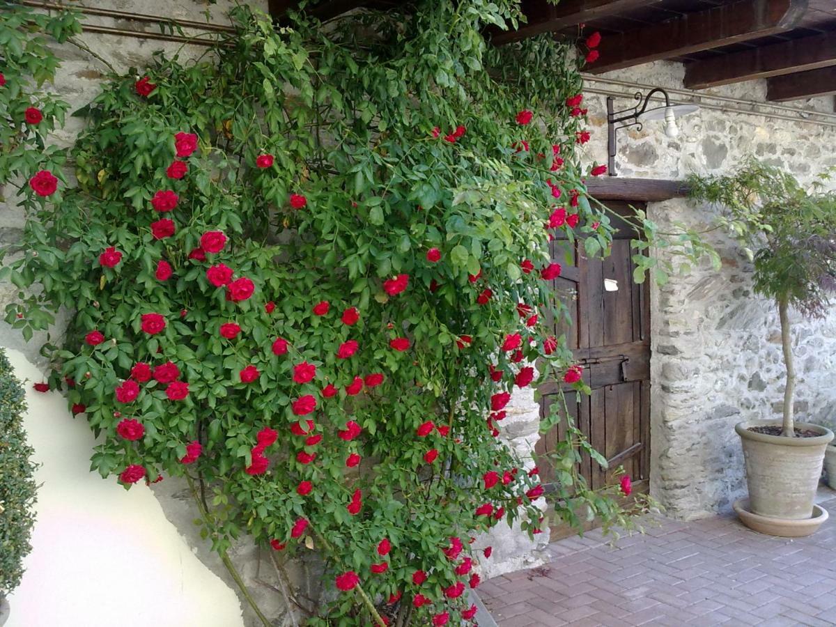Residenza Antica Corte Villa Picta Buglio in Monte 外观 照片
